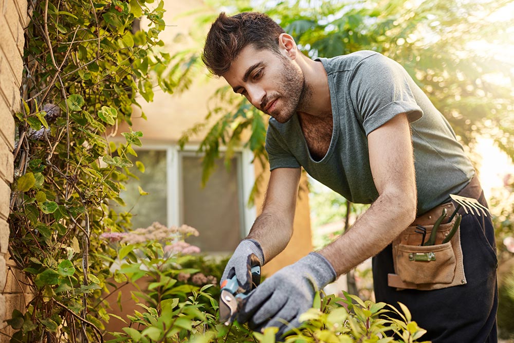 Landscape and Garden Services